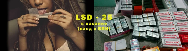 шишки Лихославль