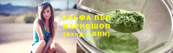 стаф Магас