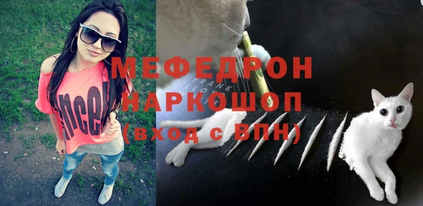 стаф Магас