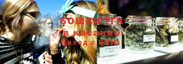 стаф Магас