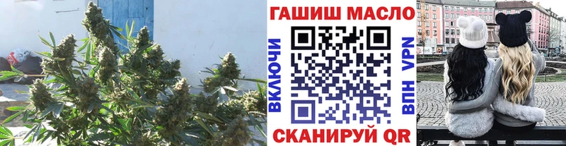 ТГК Wax  Талдом 