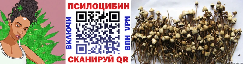 Псилоцибиновые грибы GOLDEN TEACHER  даркнет официальный сайт  Талдом  кракен онион 